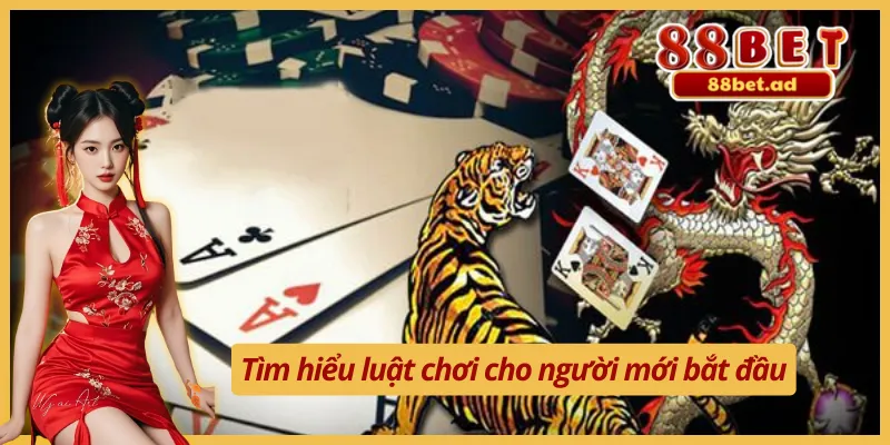 Kỹ thuật chơi Rồng Hổ và luật chơi cơ bản